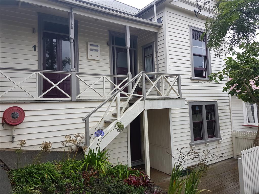 GREY LYNN photo