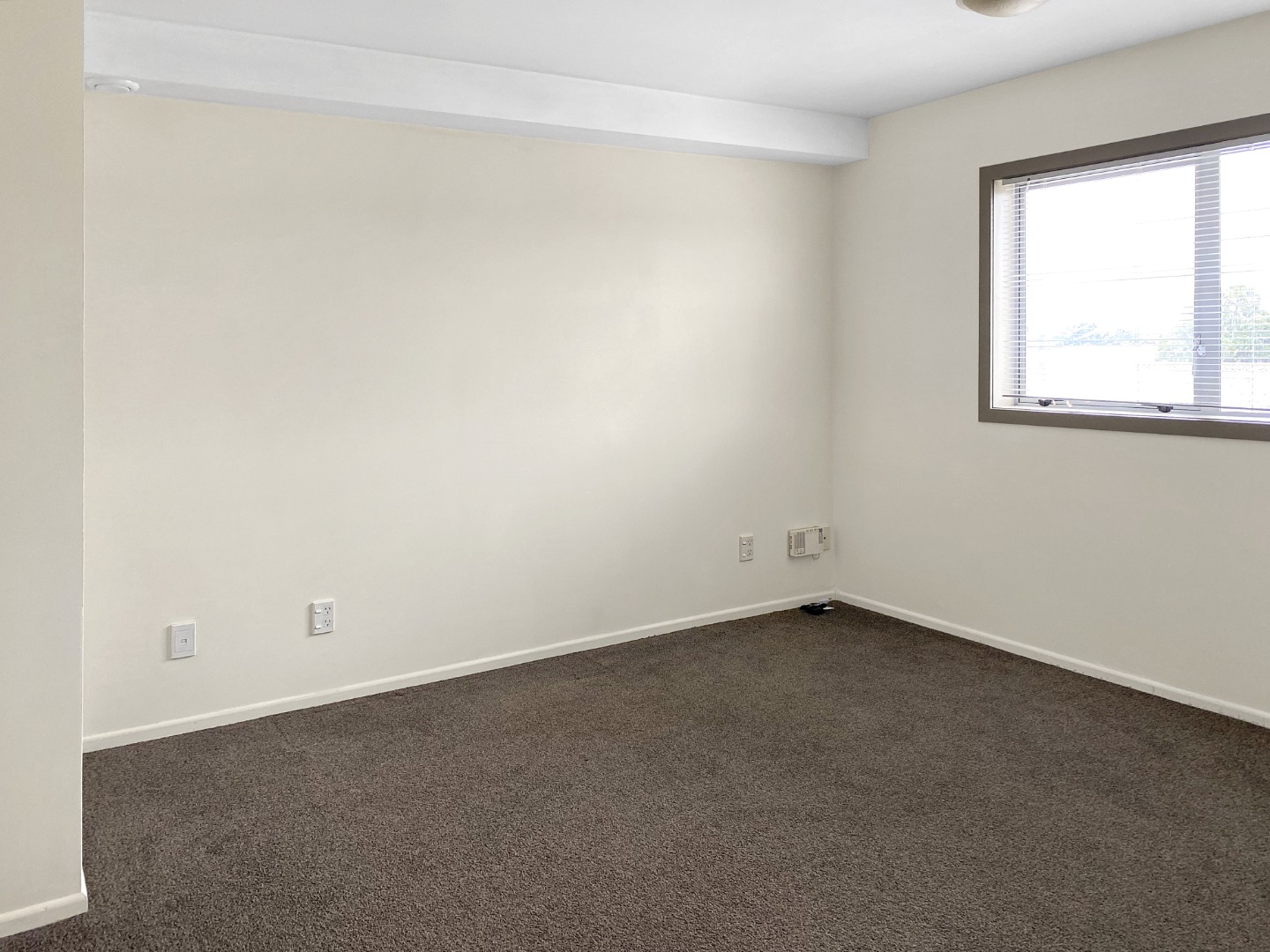 Great Location Great Apartment! photo