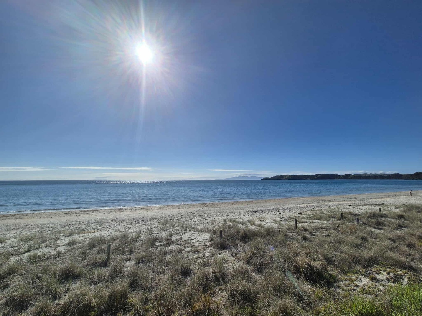 Elevated 2 Bedroom Apartment on the Beach $620 per week  photo